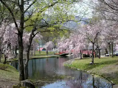 Sierra Resort Yuzawa - 9