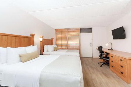Wyndham Garden Austin - 1