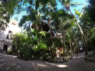 Sueños Tulum - 17