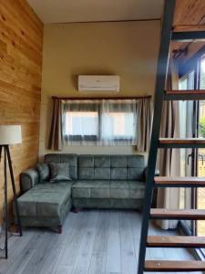 Gaia Tiny Houses Butik - 33