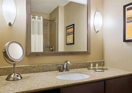 DoubleTree by Hilton Houston Intercontinental Airport - 51