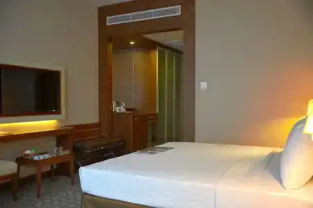 Anemon Samsun - 51