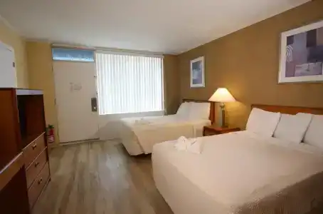 Crusader Oceanfront - 44