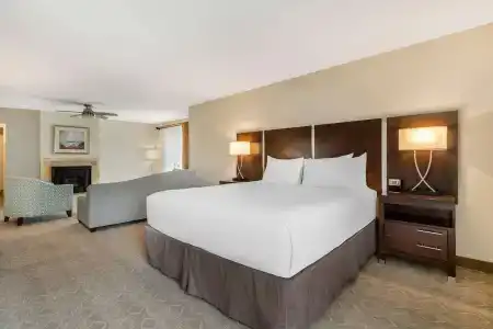 Best Western Plus Inn - 77