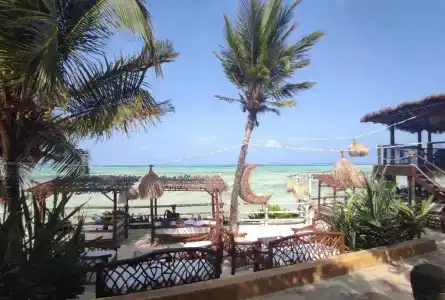 Coral Rocks & Restaurant - 39