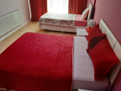 Samlife Apart - 299