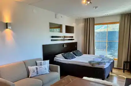 Levi Suites Levi Gold - 285