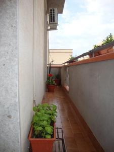 Bed & Breakfast Delle Palme - 17