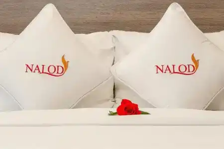 The Nalod Da Nang - 62