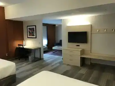 Holiday Inn Express Orlando - South, An Ihg - 4