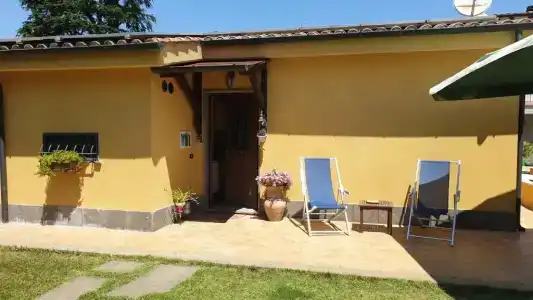 L'Antico Vigneto - 9