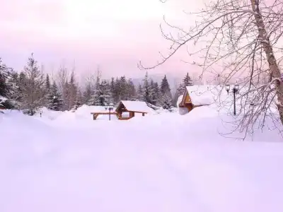 Glacier House & Resort - 56