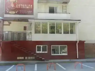 Катальпа - 3