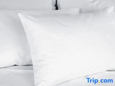 Best Western Premier Hbeo Bordeaux Centre - 90