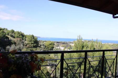 Residence Gli Stingi - 41
