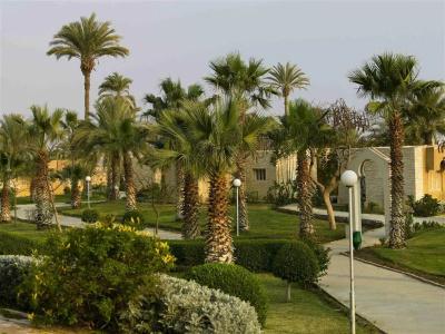 Mercure Ismailia Forsan Island - 19