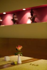 AltstadtGrauer Wolf - 13