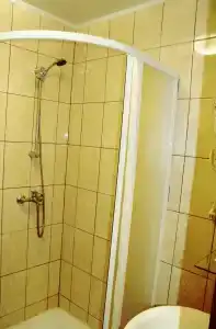 Базилик - 14