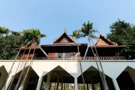 Vanida - Halal - 0