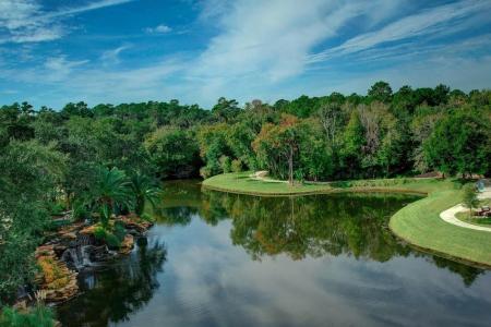Sawgrass Marriott Golf & Spa - 106