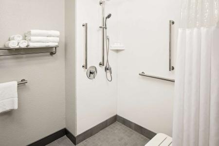 Hampton Inn & Suites Houston-Medical Center-Nrg Park - 36
