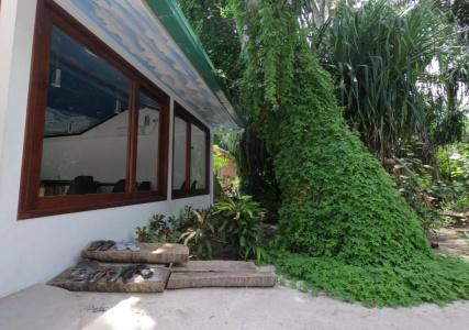 Beach Veli - 24