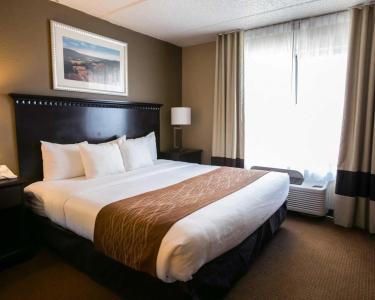 Comfort Suites Austin Airport - 52