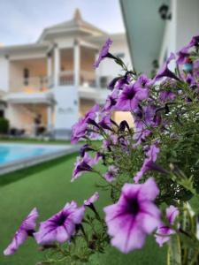 Bianco House Resort - 4