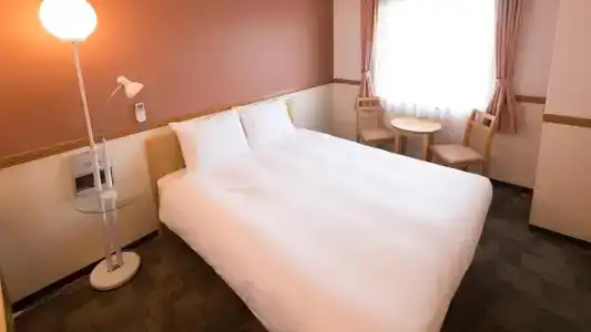 Toyoko Inn Airport - 74