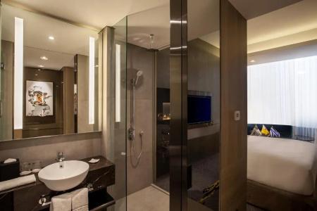 Novotel Singapore On Stevens - 52