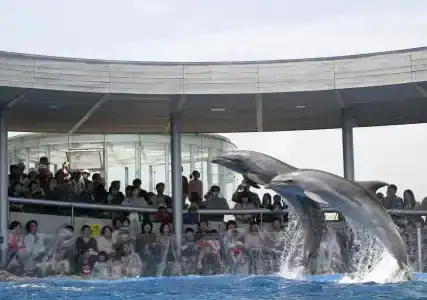 Beppu Daiiti - 20