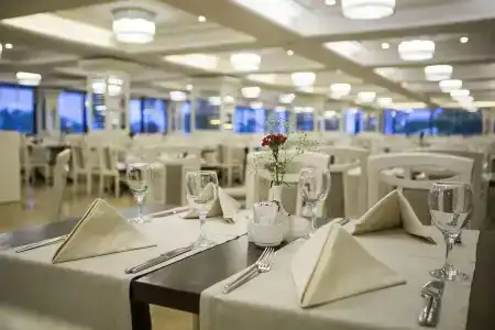 Bellis Deluxe - 10
