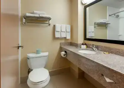 Best Western Plus Inn & Suites - 7