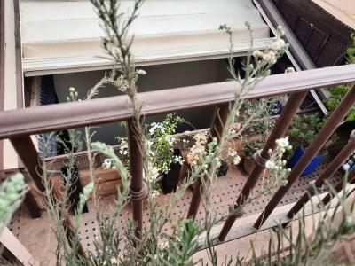 Riad Aubrac - 33