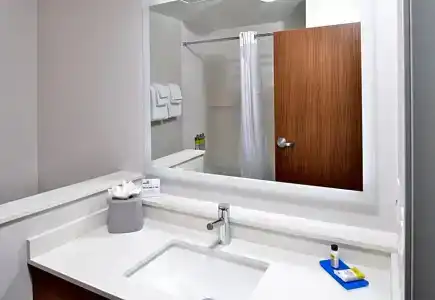 Holiday Inn Express Orlando - South Park, An Ihg - 87