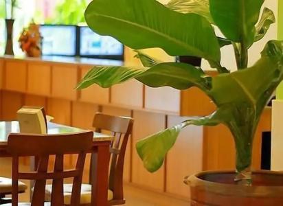 Cozy Villa - 21