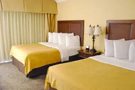 Coconut Cove All Suite - 4