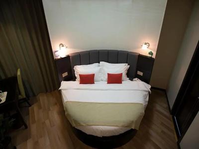 Shanghai Joyful Star(Pudong Airport/Shanghai International Resort/Free Trade Zone) - 24