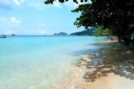 Island Dive Club - 2