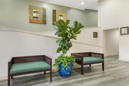 Parkway International Celebration Area By Diamond Resorts - 14