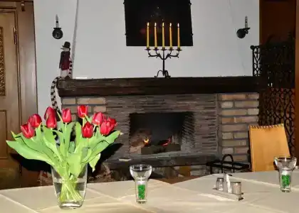 AlpenBeslhof - 19