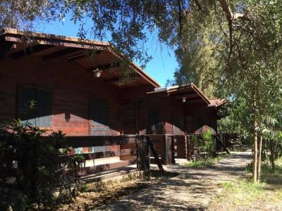 Camping Valle dei Templi - 43