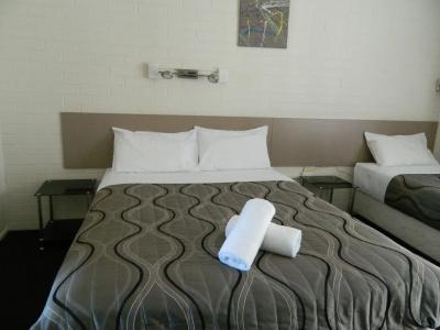 Coachman - 1