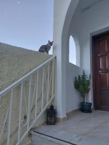 Evelina Pension! - 57