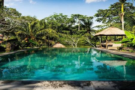 Ubud Sari Health Resort - 7