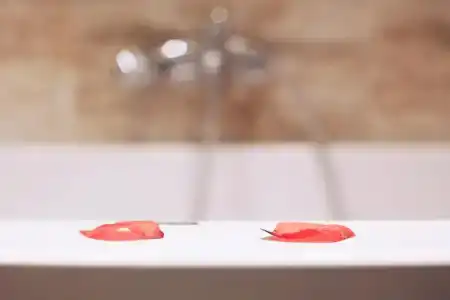 Cleopatra Spa - 45