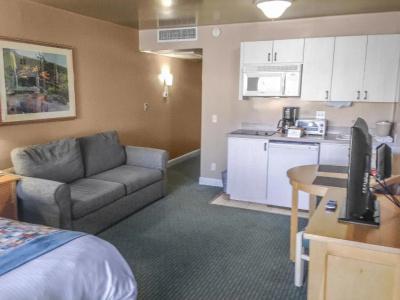 Palm Canyon - 35