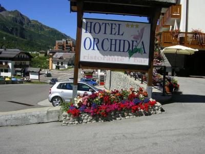 Orchidea - 9