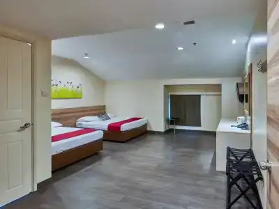 81 Dickson - SG Clean - 20