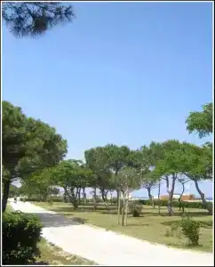 Plage des Pins - 49